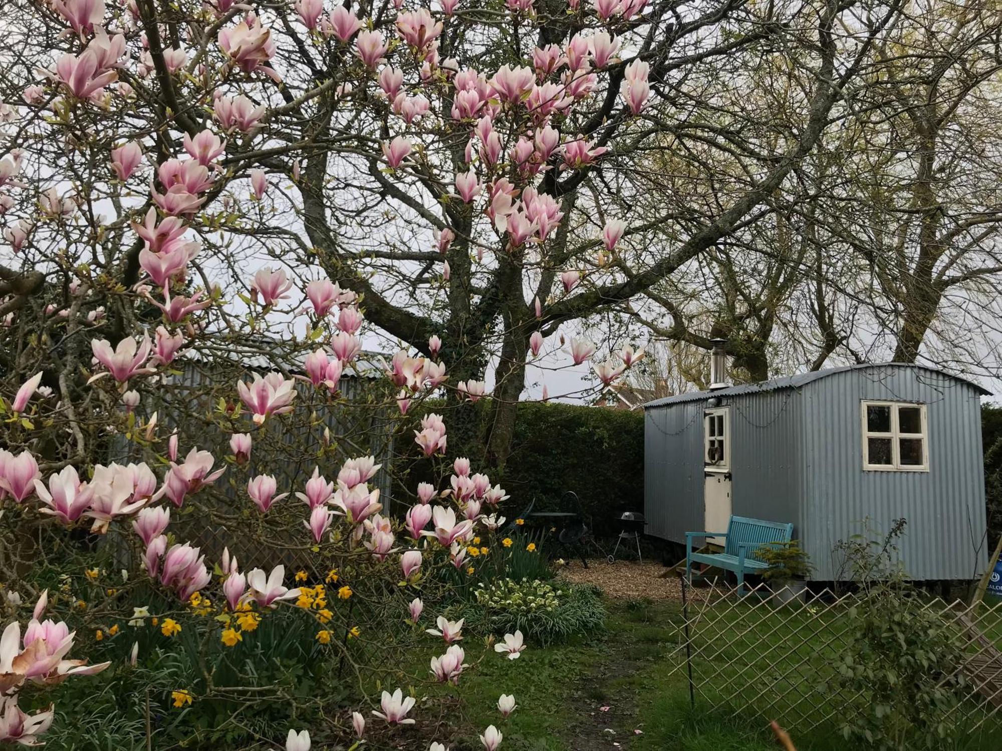 The Wayside Shepherd Hut Больє Екстер'єр фото