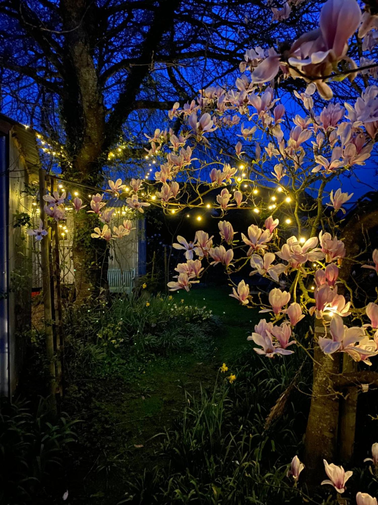 The Wayside Shepherd Hut Больє Екстер'єр фото